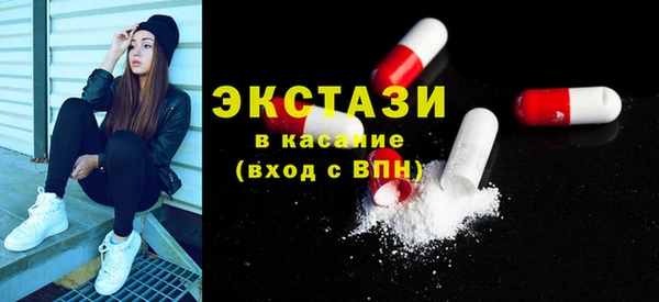 гашик Алексин