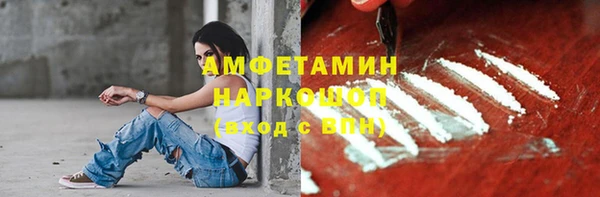 гашик Алексин