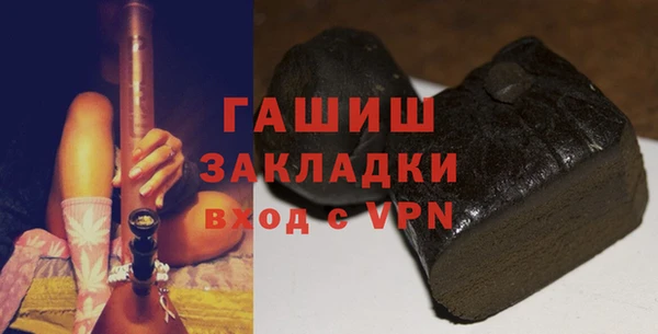 гашик Алексин
