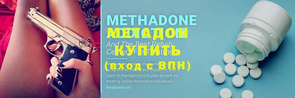 гашик Алексин