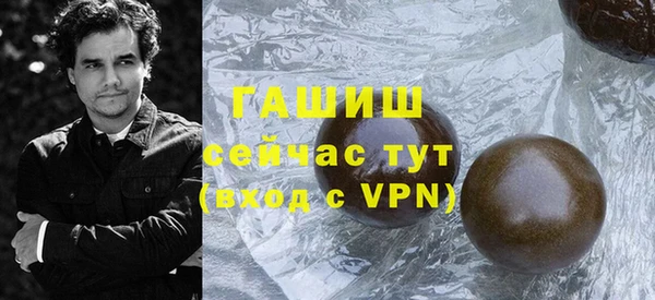 гашик Алексин