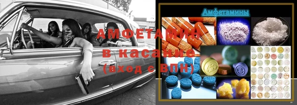 гашик Алексин