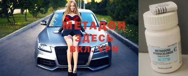 гашик Алексин
