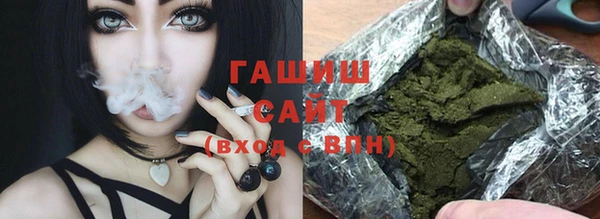 гашик Алексин