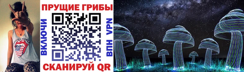 Псилоцибиновые грибы Psilocybe  даркнет сайт  Долинск 